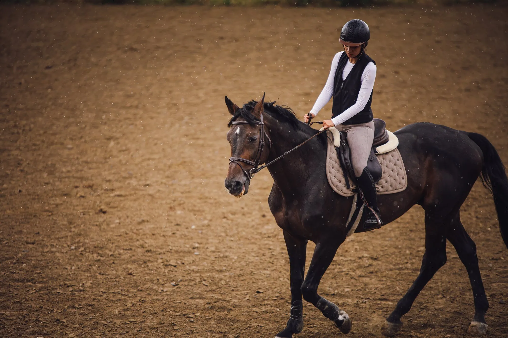 Rider on a dark horse moving through rain in an outdoor arena