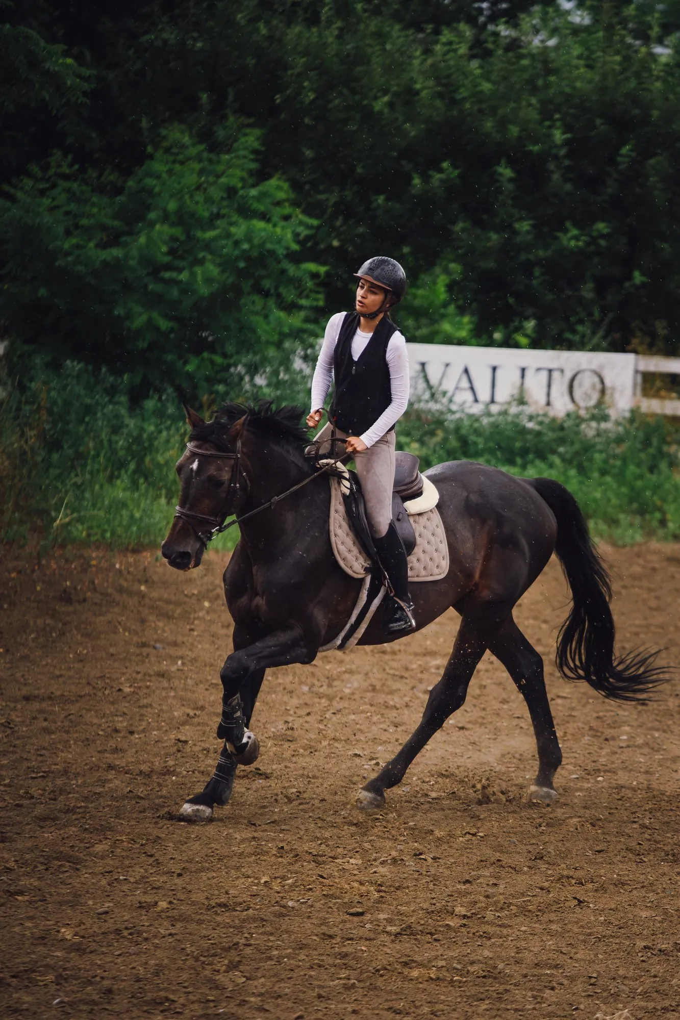 Side view of a rider and dark horse moving through the rain