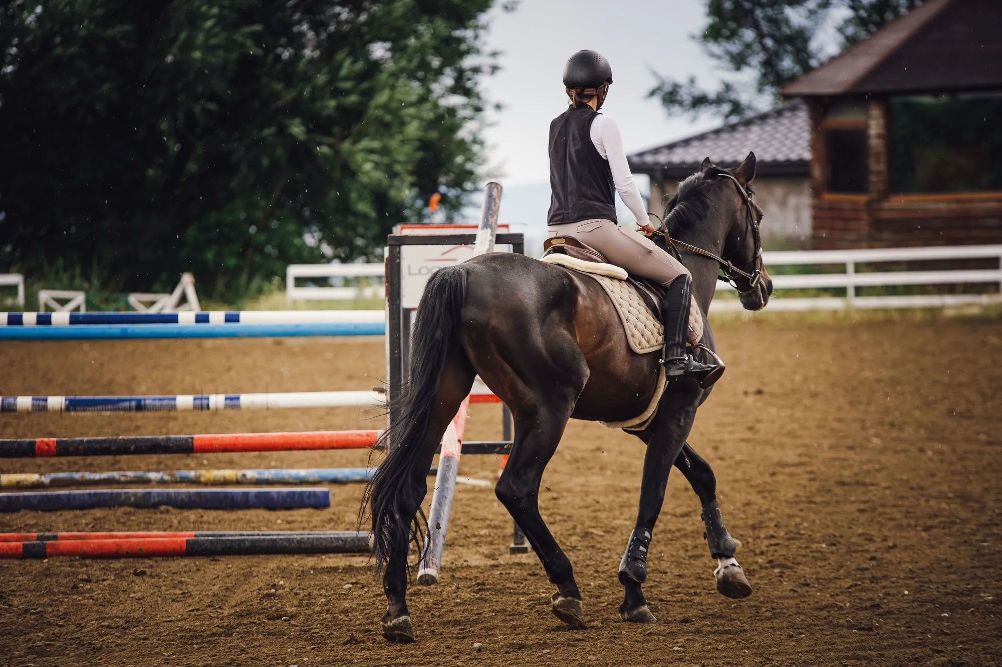 Rider and horse moving past coloured jumps at the edge of an arena