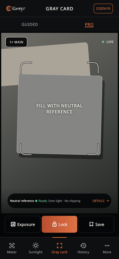 Kaenyr Gray Card guided neutral-reference view