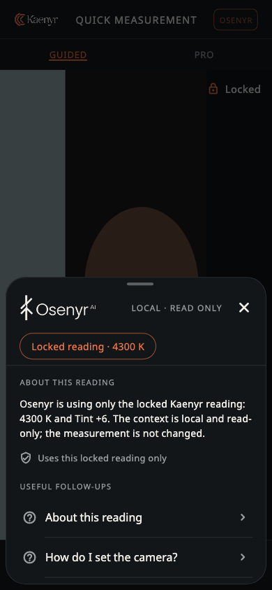 Osenyr AI local photographic guidance inside Kaenyr