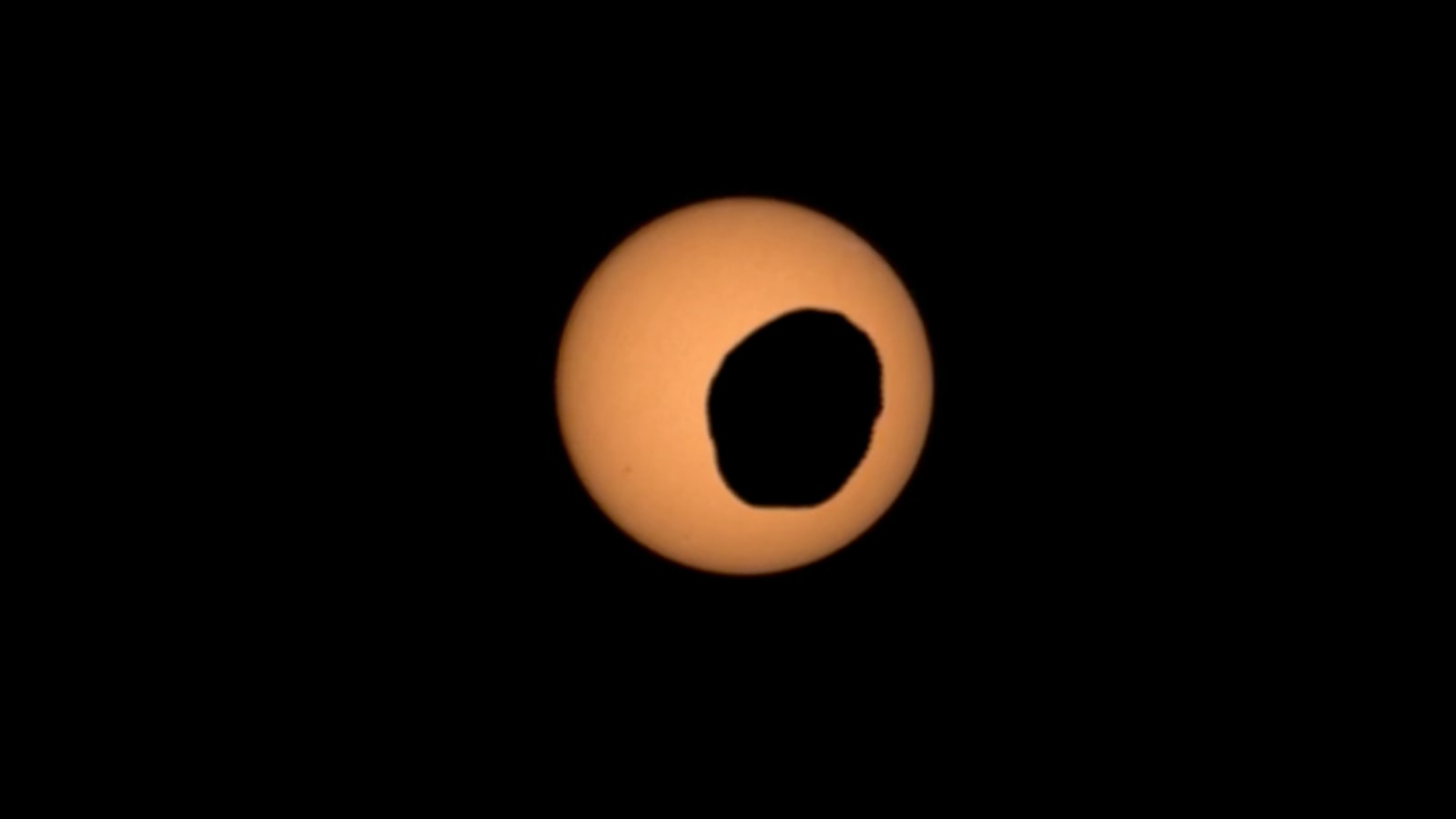 The irregular black silhouette of Mars's moon Phobos crossing the orange disc of the Sun, photographed by Perseverance