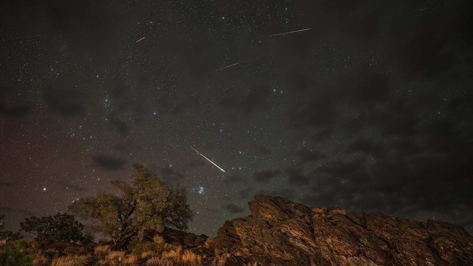 Perseid meteors crossing the night sky above Inyo National Forest in 2024