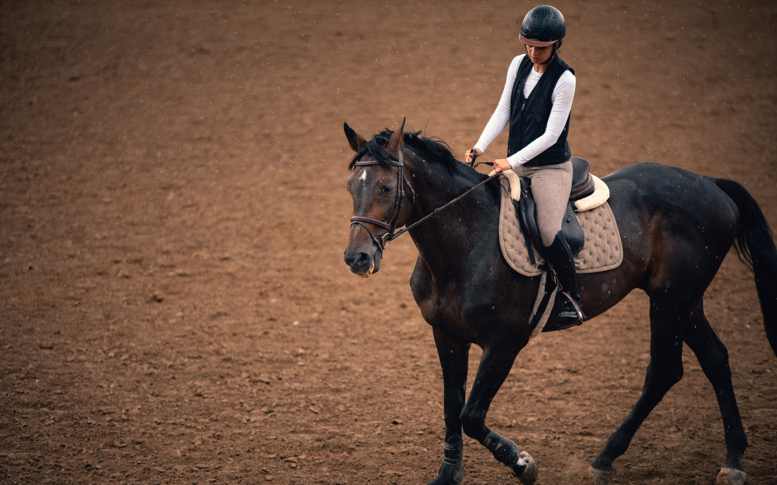 The same equestrian scene after the final First Frame preset, with deeper earth tones and restrained cinematic contrast