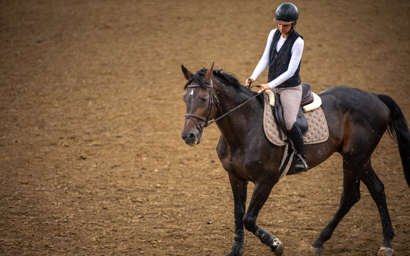 A rider and dark horse crossing a rain-speckled arena before the final First Frame preset